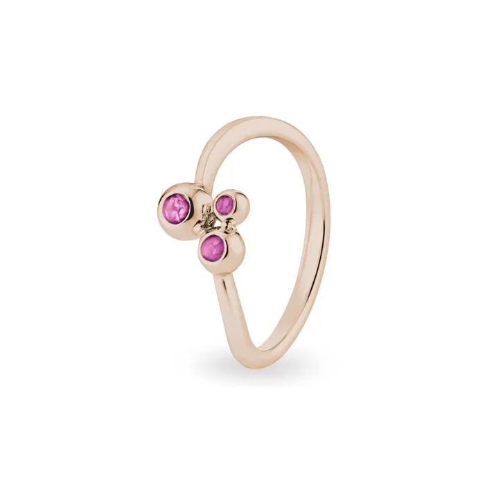 EverWith Ladies Rondure Array Triple Memorial Ashes Ring EverWith Rings